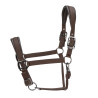 Licol matelassé Pro Shires Arma - Marron
