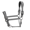 Licol matelassé Pro Shires Arma - Gris