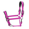 Licol matelassé Pro Shires Arma - Framboise