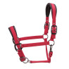 Licol matelassé Pro Shires Arma - Rouge