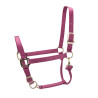 Licol réglable Premium Shires Arma - Bordeaux