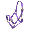 Licol réglable Shires Arma - Violet