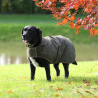 Manteau ciré Shires Digby & Fox - Olive