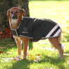 Manteau imperméable pour chien Shires Digby & Fox - Vert