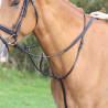 Martingale à anneaux Shires Velociti Gara - Noir