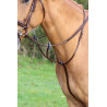 Martingale à anneaux Shires Velociti Gara - Marron