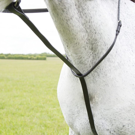 Martingale fixe Shires Velociti Gara