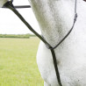 Martingale fixe Shires Velociti Gara - Noir