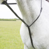 Martingale fixe Shires Velociti Gara - Marron
