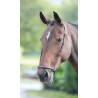 Muserolle allemande Shires Velociti Gara - Marron