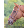 Muserolle française flash Shires Velociti Gara - Marron