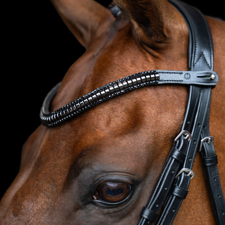Frontal Imperial Riding Clincher