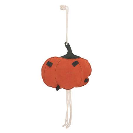 Jouet de box HV Polo Pumpkin