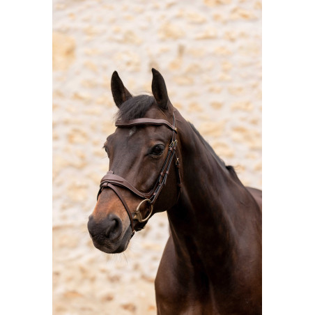 Bridon K by Equithème K-Kontour