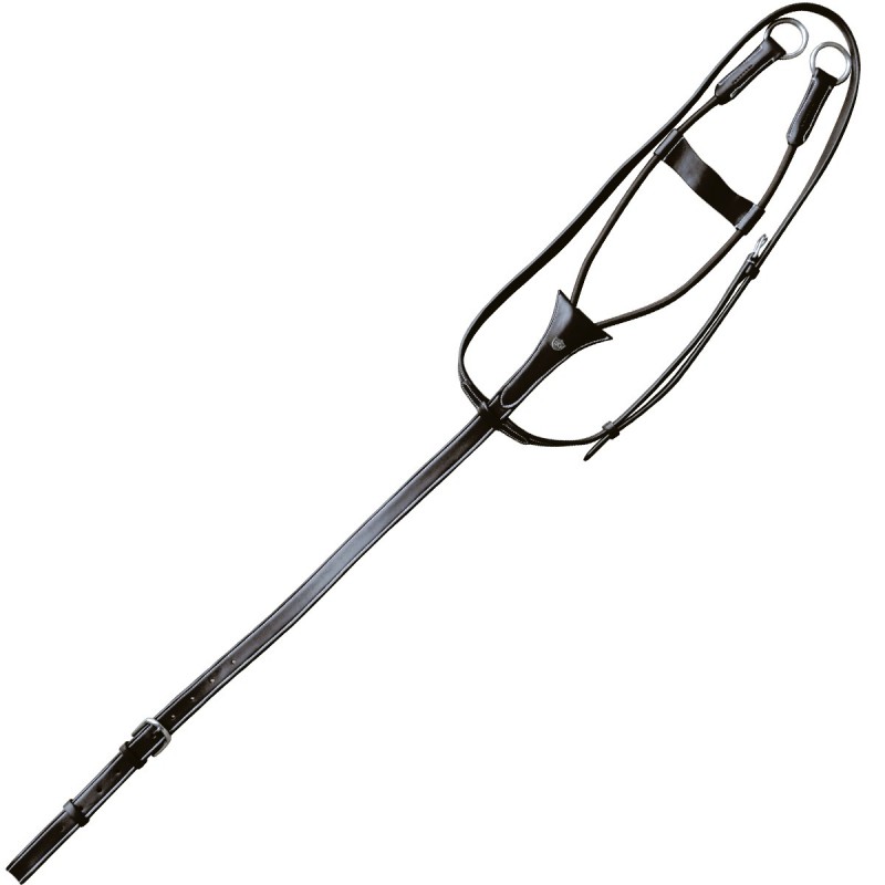 Martingale Equitation Equiclic