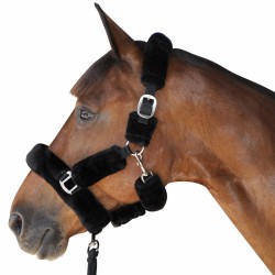 HURRISE Licou de cheval Couleur rouge d'accessoires d'équitation de licol  de contrôle de bride de cheval de sangle épaissie de - Cdiscount