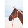 Licol nylon Topaz Shires - Gris