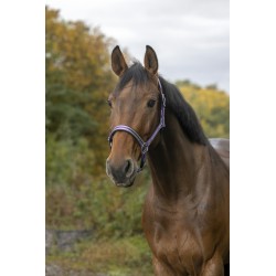 Licol cheval : Matériel d'Equitation