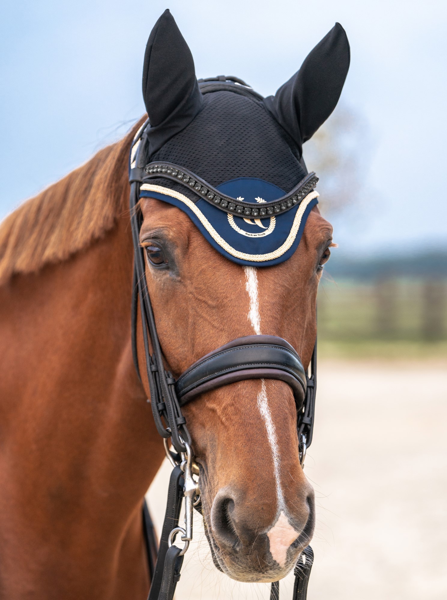 Tapis de Selle CSO Night Collection Back On Track Tapis de Selle CSO Night Collection Back On Track