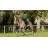 Tapis de selle LeMieux Loire Dressage Square - Vert hunter