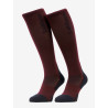 Chaussette LeMieux Performance - Bramble