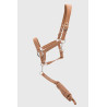 Licol et longe Harcour Cinsy - Moka