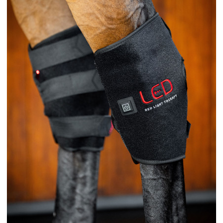 Guêtres de thérapie par lumière rouge LED pour jarrets Horseware® Paire