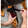 Bandages de thérapie par lumière rouge LED pour les pattes des animaux de compagnie Horseware Paire - Noir / noir
