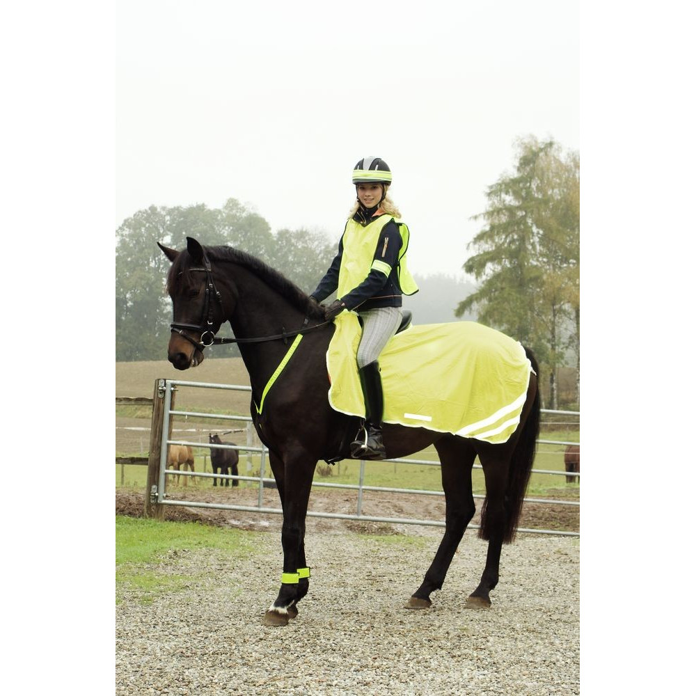 Couverture Réfléchissante Kerbl Pour Cheval - Sécurité Visibilité Faible - Bandes Réfléchissantes - Taille Unique
