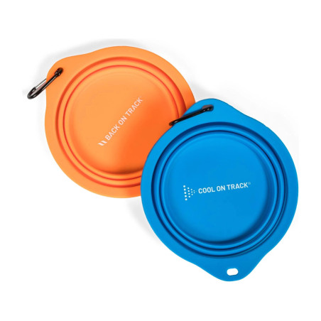 Gamelle pour chien