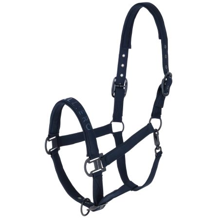 Licol AH26 Covalliero