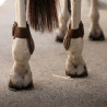 Protège boulet Young horses Pro Kentucky - Marron