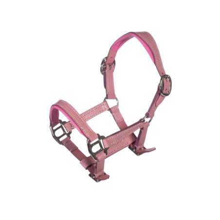 Licol en cuir Pink Hobby Horsing HKM