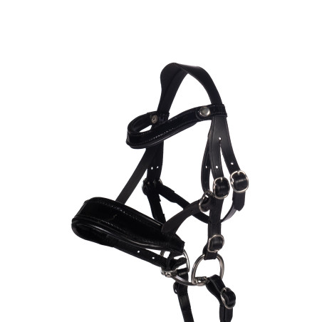 Bridon cuir Verni Hobby Horsing HKM