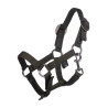 Licol et longe HKM Hobby Horsing Basic - Vert olive