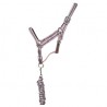 Licol synthétique doublé + longe tressée américaine T de T - Gris / rose