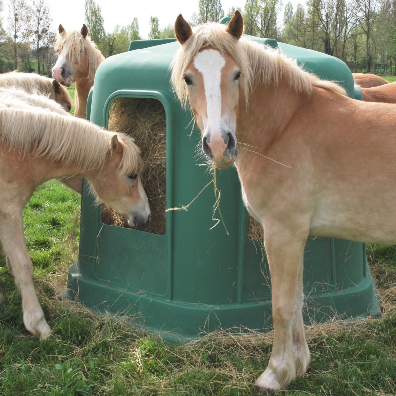 PATURA - Mangeoire d’Angle chevaux en acier galvanisé