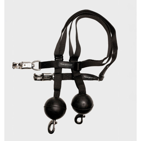Lot de 2 longes d’attache BarnSafe Horseware
