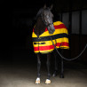 Couverture polaire Imperial Riding Stripe - Or