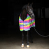 Couverture polaire Imperial Riding Stripe - Rainbow