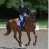 Scoot Boots Dressage Scoot Boots Dressage