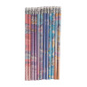 Set de stylos Unicorn HKM - Multicolore