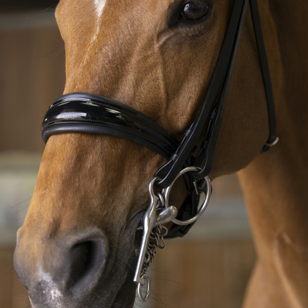 Bride de cheval en cuir de haute qualité Crystal Bling brow band Bride de cheval en cuir de haute qualité Crystal Bling brow band