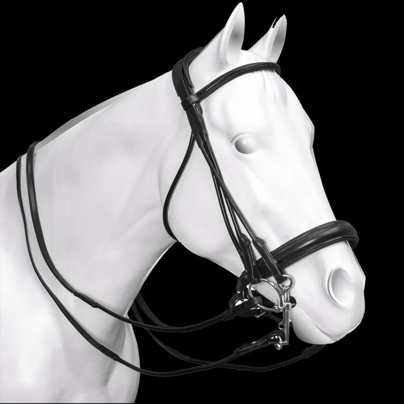 Bride Double Weymouth Poney Bride Complète Poney En Cuir Anglais