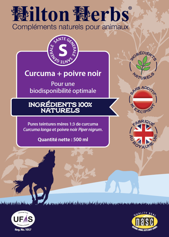 Curcuma et Poivre Noir Hilton Herbs