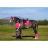 Tapis LeMieux Loire Classic Dressage Square Watermelon Tapis LeMieux Loire Classic Dressage Square Watermelon