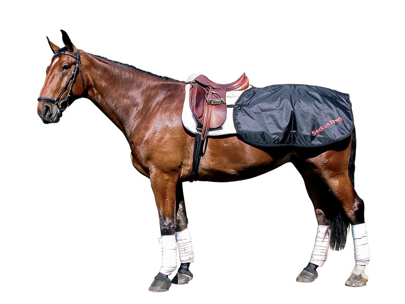 COUVRE REINS COUVRE REINS