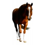 CHAUSSETTES SILVER WHINNY CHAUSSETTES SILVER WHINNY