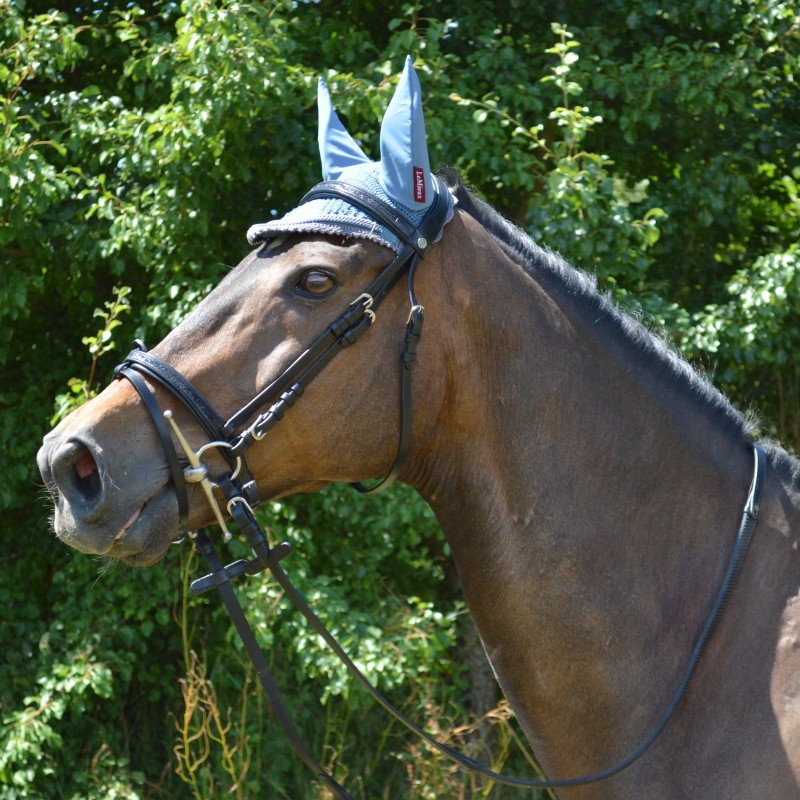 Bridon Black Strass - Canter - Sellerie Plus