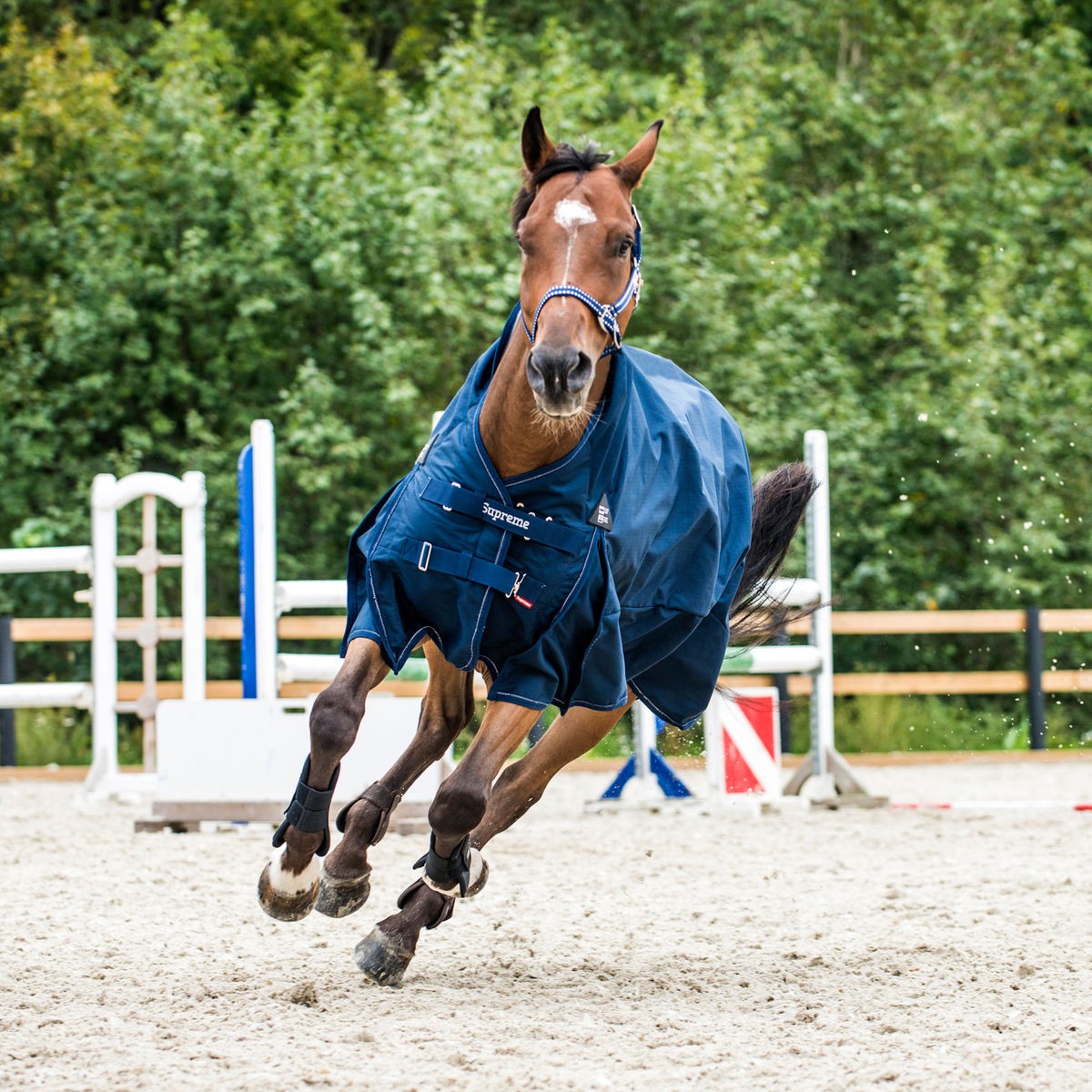 COUVERTURE DE PLUIE AVALANCHE PRO SUPREME Bleu